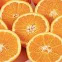 24 Kg d’Oranges de Ribéra Biologique qualité "Spremuta"